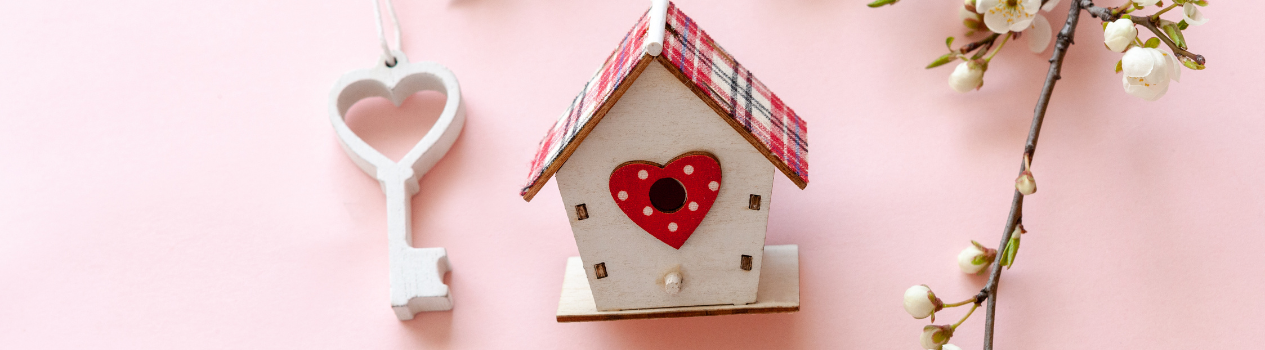 Send A Potted Plant for Luck!_potted-plants