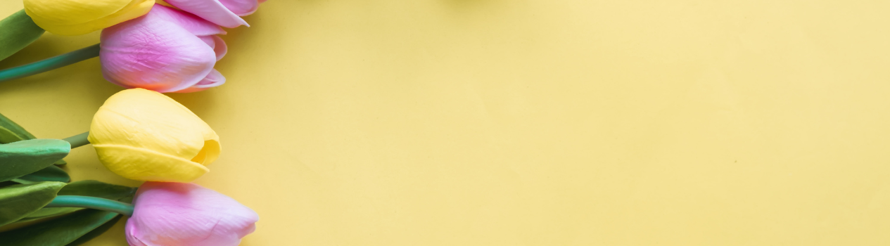 Tulips For Your Loved Ones_tulips