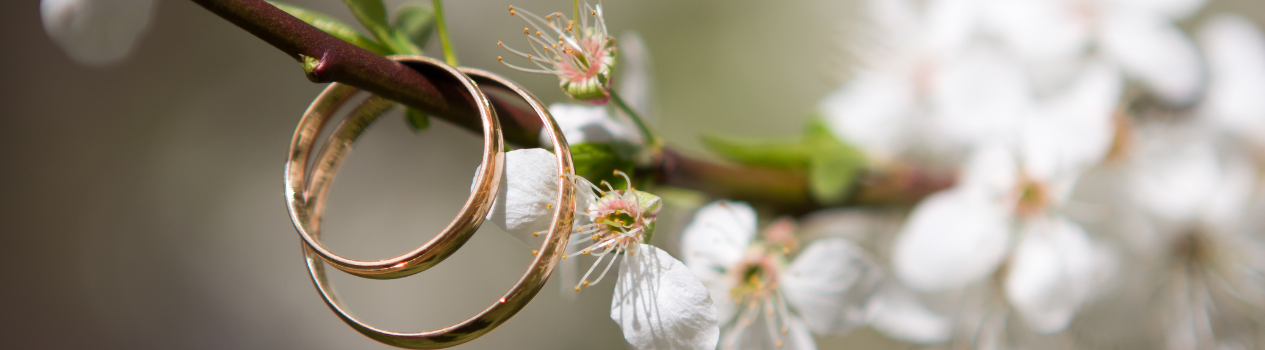 Send Wedding Flowers To The Newlyweds Today!_premium