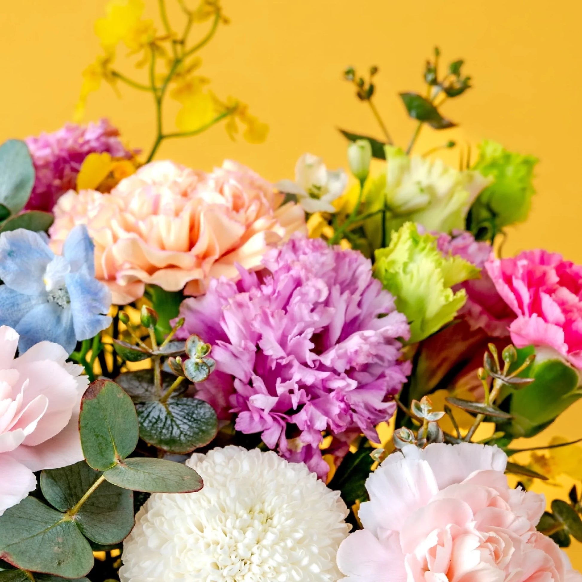 flowerchimp-bouquet-productname-2500x2500-03