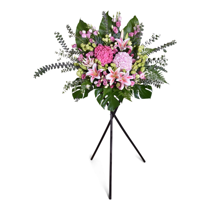 Pink Fortune Opening Flower Stand